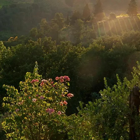 Country House Nazzano * Gambassi Terme